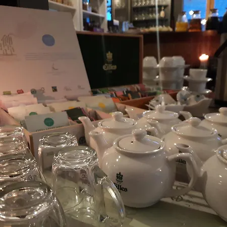 Hotel Faehrhaus Gmbh *